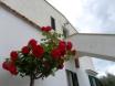Hotel BIO ATLHOS, BED AND BREAKFAST - TURISMO RURALE - VIESTE