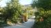 BEB IL ROSETO