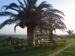 AGRITURISMO LE CAROLEE