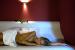 HOTEL PFOSL
