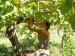 B&B TRA I FRUTTI