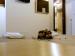 RESIDENCE CERCI