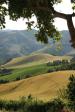 GIRFALCO COUNTRY HOUSE B&B