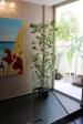 HOTEL 33 BARONI