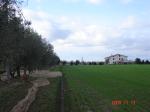 AGRITURISMO PODERE CIRENE - RISPESCIA-ALBERESE