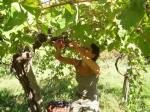 B&B TRA I FRUTTI