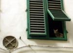 APARTMENTS IN FLORENCE - VIA DELLA CHIESA 17