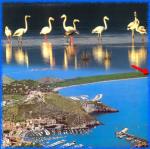 VILLA PARADISINO - ORBETELLO