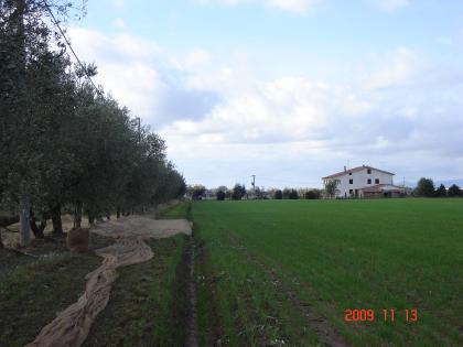 AGRITURISMO PODERE CIRENE