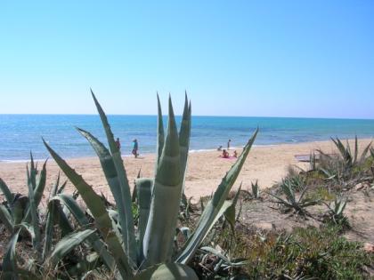 CASA VACANZE SOGNO SICILIANO