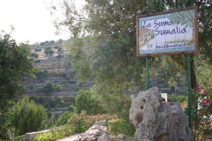 LA SUMA SUMALIA