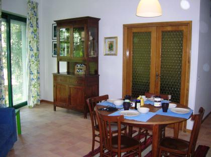 CANFORA VERDE