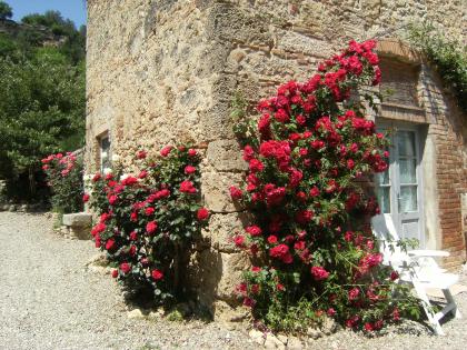 AGRITURISMO LE CANTINE